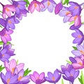 Crocus saffron floral wreath border frame template Royalty Free Stock Photo