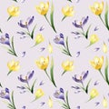 Crocus spring flowers seamless pattern on light violet background. Saffron flower. Violet and yellow flowers. Spring design Royalty Free Stock Photo