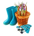 Crocuses in a basket, gloves and boots on a white background Royalty Free Stock Photo