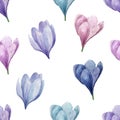 Crocuses blue purple watercolor pattern.