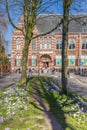 Crocuses in front of the former Groningen Museum