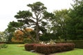 Croft Castle garden in Autumn