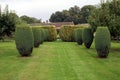 Croft Castle garden in England