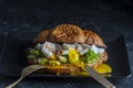 Croissant fresh sandwich with poached egg, salmon and avocado on a plate on black background Royalty Free Stock Photo