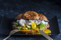 Croissant fresh sandwich with poached egg, salmon and avocado on a plate on black background Royalty Free Stock Photo