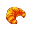 Croissant hand drawn vector color illustration