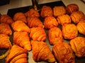 Croissant making factory bakery fresh cook biscuit