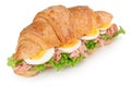 Croissant sandwich with egg and tuna