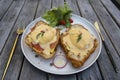 Croissant sandwich with poached egg, radish and salmon on plate in cafe Royalty Free Stock Photo