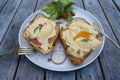 Croissant sandwich with poached egg, radish and salmon on plate in cafe Royalty Free Stock Photo