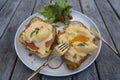 Croissant sandwich with poached egg, radish and salmon on plate in cafe Royalty Free Stock Photo