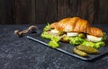 Croissant sandwich with tuna, hard boiled egg, salad and cucumber on stone table Royalty Free Stock Photo
