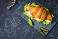 Croissant sandwich with tuna, hard boiled egg, salad and cucumber on stone table Royalty Free Stock Photo