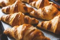 Croissants on baker's paper. Royalty Free Stock Photo