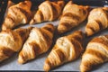 Croissants on baker's paper. Royalty Free Stock Photo
