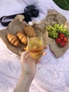 Croissants fruit and champagne on a picnic Royalty Free Stock Photo