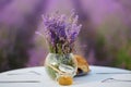 Croissants and honey on table in lavender field. Royalty Free Stock Photo