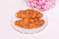Croissants on plate with hydrangea flower Royalty Free Stock Photo