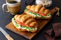 Croissants with salmon, white cheese and arugula. Breakfast