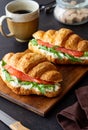 Croissants with salmon, white cheese and arugula. Breakfast