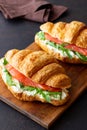 Croissants with salmon, white cheese and arugula. Breakfast