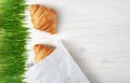 Croissants and sprouted wheat on a wooden background. Royalty Free Stock Photo