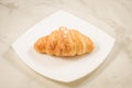 Croissants in a white plate/croissants in a white square plate o