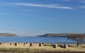 The Cromarty Firth and the Sutors