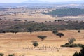 The Cromeleque do Xerez near Monsaraz, Portugal