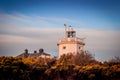 Cromer Lighthouse behind gorse bushes in early morning sunlight