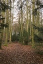 The Cromlech of Stonehenge forest Royalty Free Stock Photo