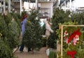 Christmas trees being bought at home improvement store with mother daughter team