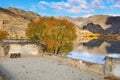 Cromwell, New Zealand. Ruins and autumn tree on the edge of Lake Dunstan