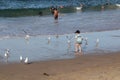 Cronulla Beach-The little boy played with the seagulls