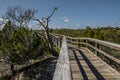 Crooked Boardwalk Through the Lagoon