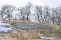 Crooked deciduous trees in the background. Snow melting from the surface of the hill. Grass vectors, bushes and moss on grey