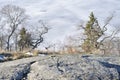 Crooked deciduous trees in the background. Snow melting from the surface of the hill. Grass vectors, bushes and moss on grey