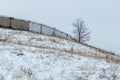 Crooked fence on a hill and a lone tree in winter