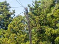 A crooked pole with wires. Old technologies. Wired communications Royalty Free Stock Photo