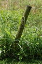 Crooked post connected to a wire fence