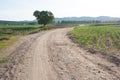 Crooked Rural Road Royalty Free Stock Photo