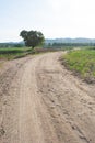 Crooked Rural Road Royalty Free Stock Photo