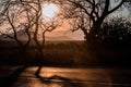 Crooked trees near a road against mountainous background Royalty Free Stock Photo