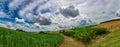 A crooked ultra wide angle image of a green field and a dirt road in the middle Royalty Free Stock Photo