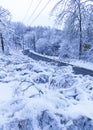 Snowy Country Road