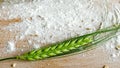 Crop barley with plain flower on wooden background