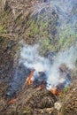 Crop burning in the rice fields of southern China Royalty Free Stock Photo