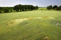 Crop circle in a wheat field Royalty Free Stock Photo