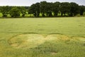 Crop circle in a wheat field Royalty Free Stock Photo