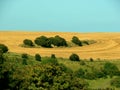 Crop circles